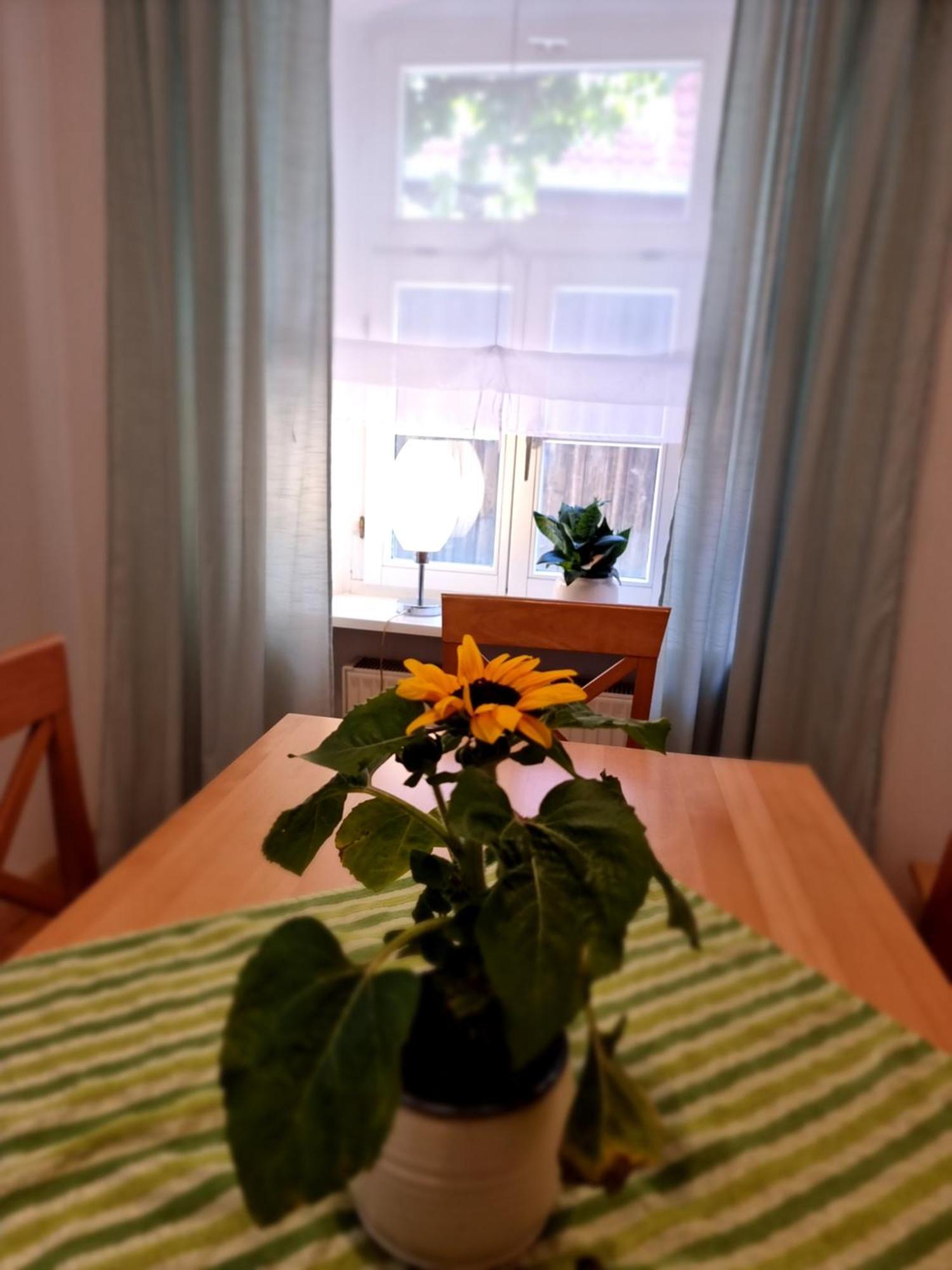 Ferienwohnung Boehm Segnitz Стая снимка